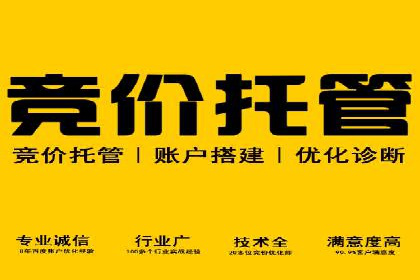 百度推广在电商行业的成功实践